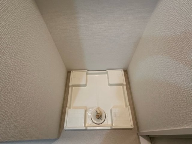 レオンコンフォート西新橋 室内洗濯機置場