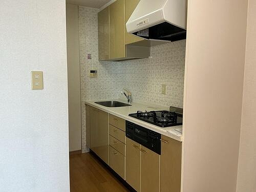 ライオンズマンション鎌倉七里ガ浜海岸3階 システムキッチン