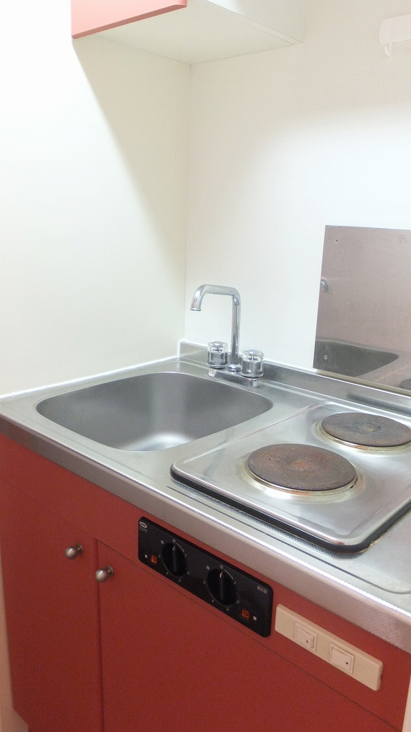 レオパレスハナブサ　Ｎａｒａ101号室 ロフト