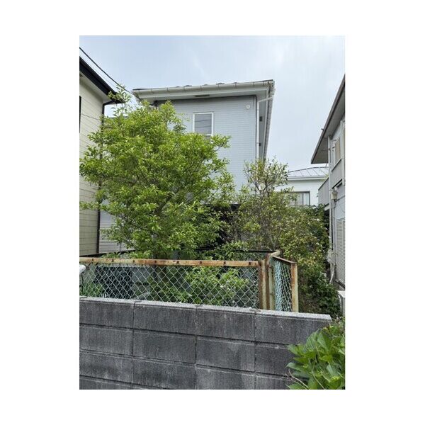 鎌倉市長谷2丁目貸家の外観画像