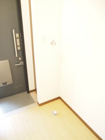 スカイハイツⅠ0203号室 玄関