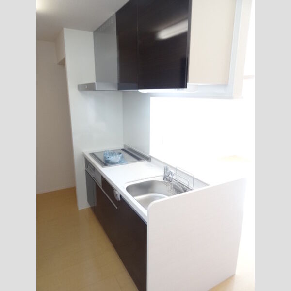 グリーンパレス宮沢202号室 システムキッチンカウンター付♪