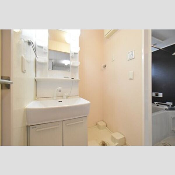 アルセード101号室 洗面室