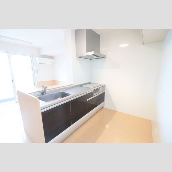 グリーンシャトー303号室 システムキッチン