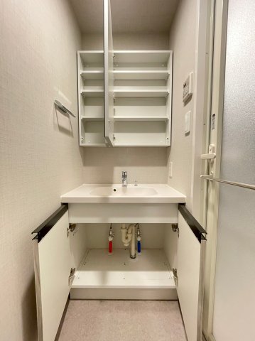 DIPS明大前112号室 洗面