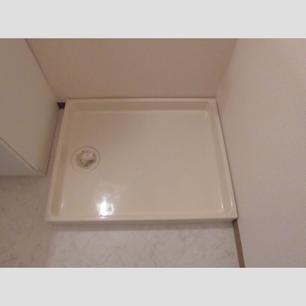 ロイヤルステージ　Ⅱ101号室 室内洗濯機置場