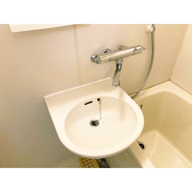 メゾンレジーナ 洗面