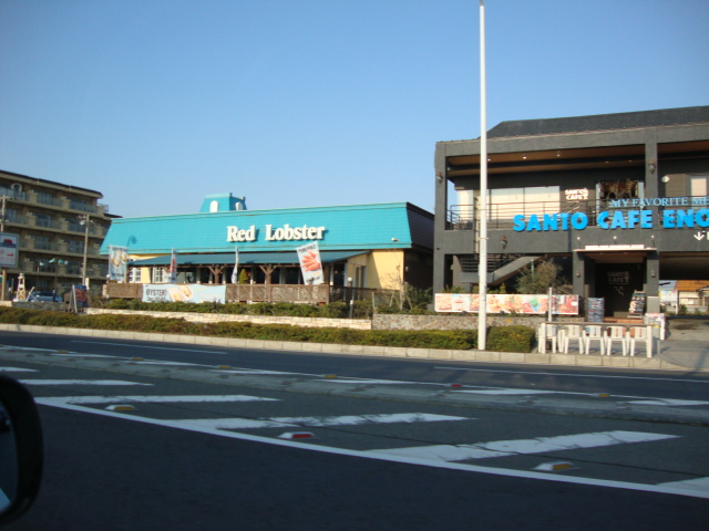 セリオラ湘南 レッドロブスターまで250ｍ