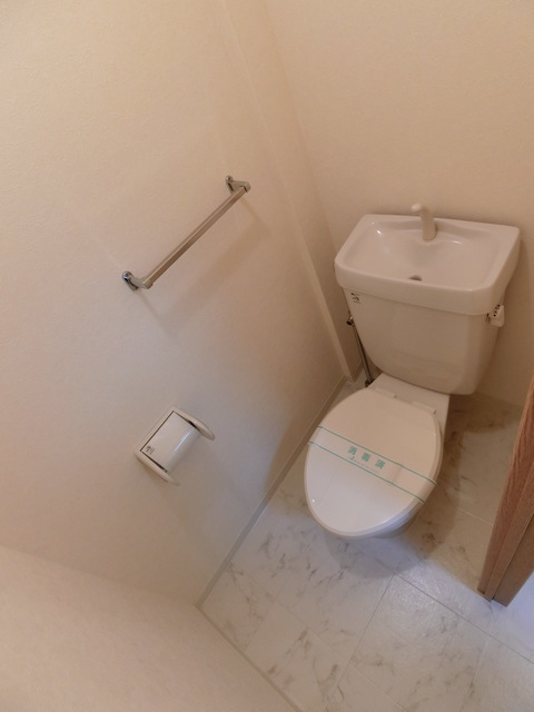 アメニティ高幡0201号室 トイレ