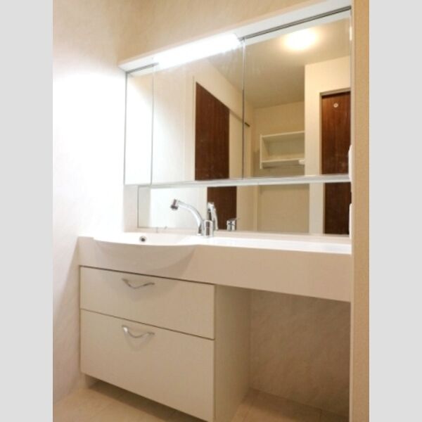 BLESS HOUSE柏西町　D106号室 洗髪洗面化粧台