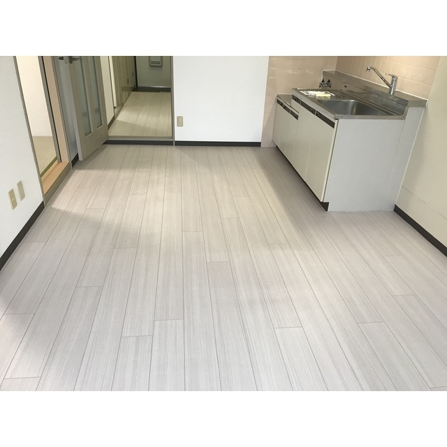 パストラルはせがわ（天幸ビル66） リビング