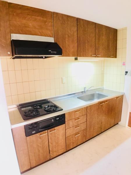 ハイシティプラザ南大泉 キッチン