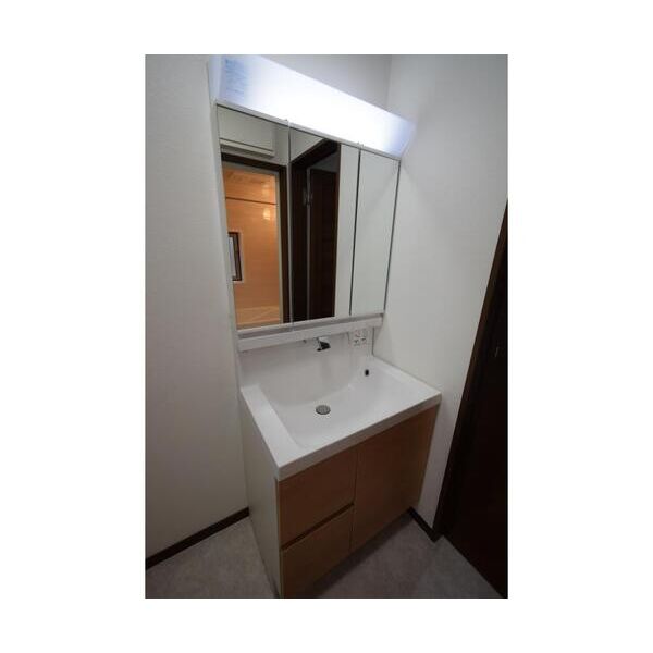 福生市南田園戸建C 洗面