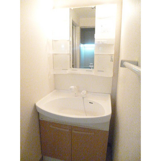 メゾンドロゼ0202号室 独立洗面所