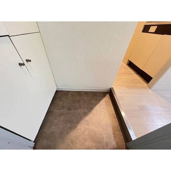 メゾン・ド・アエロスター0102号室 玄関