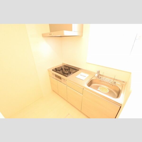 リラ・クレール102号室 システムキッチン