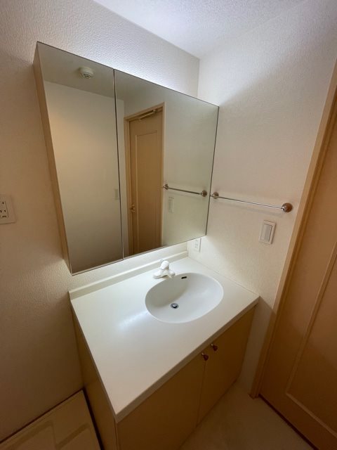 レジディア自由が丘2階 洗面