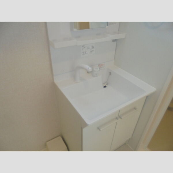 ウェルデンスD-stay　B312号室 洗面