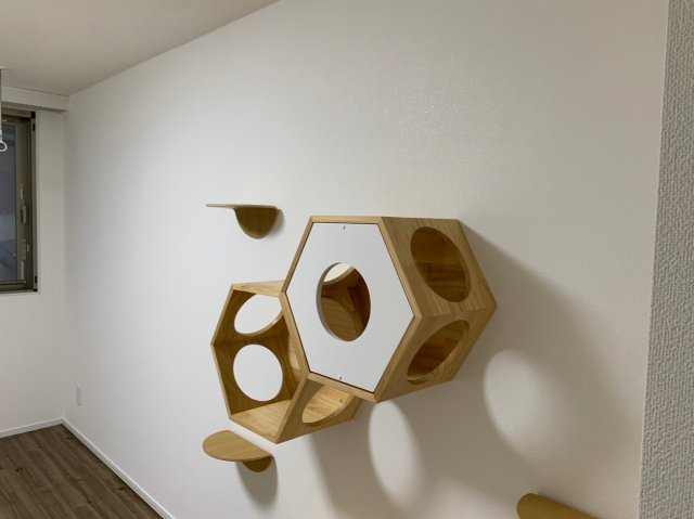 INUNEKO HILLS ROKUGODOTE ※過去退去時のお写真です