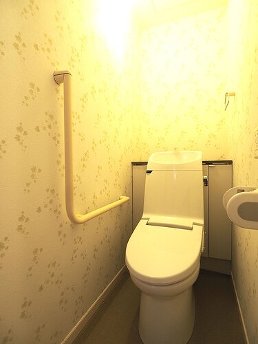 新宿区左門町戸建 1階トイレ