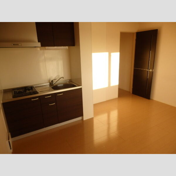 デュナミス305号室 居室