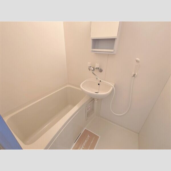 リバーマウンテンシティー205号室 浴室