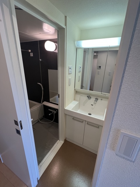 キャピタルパーク 洗面