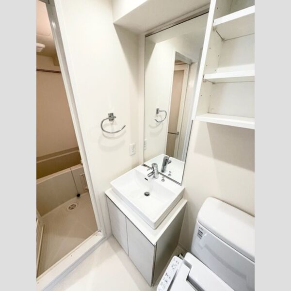 カスタリア大井町 洗面所