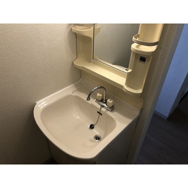 レジデンス大森0201号室 洗面台