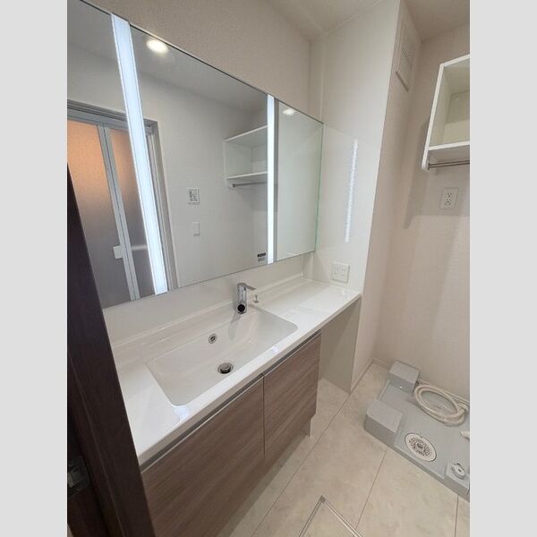 ゼラニウム湘南台302号室 洗面所