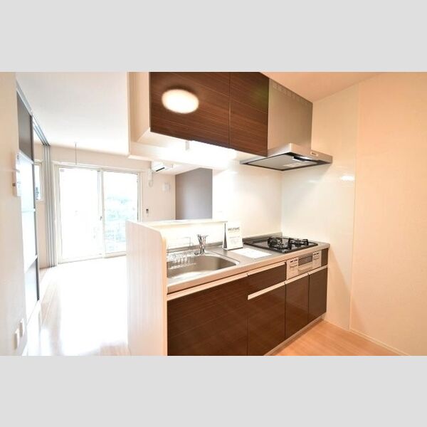 コート　エム102号室 キッチン全体