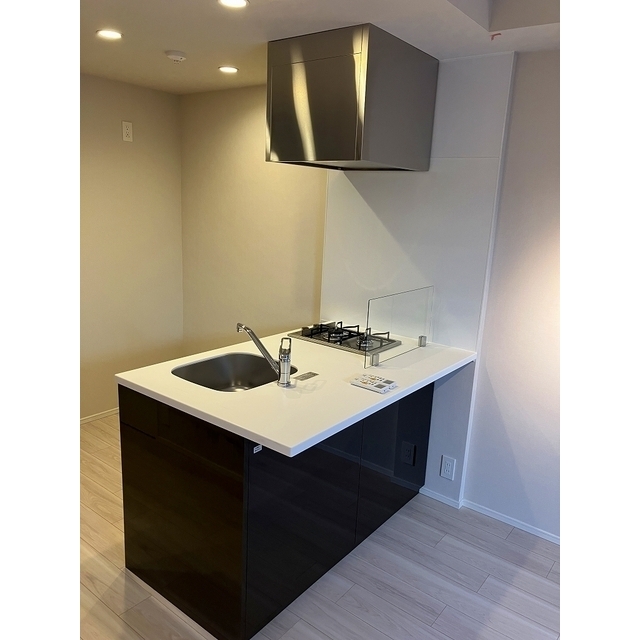 Ｌａ　Ｐｅｒｌａ　ＪｉｙｕｇａｏｋａⅡ106号室 2026年1月撮影