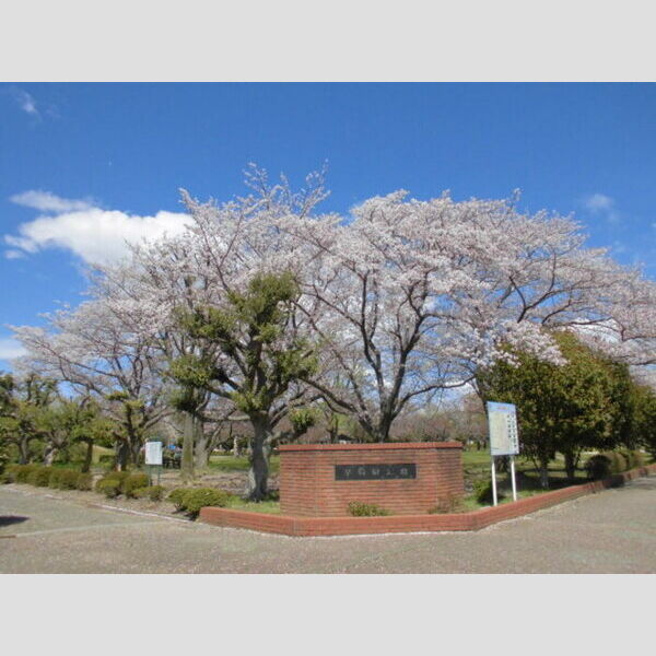 アリエス205号室 早稲田公園(7m)