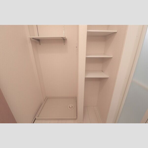 ロイジェントパークス レイクタウン Ⅲ　H108号室 洗濯機置き場