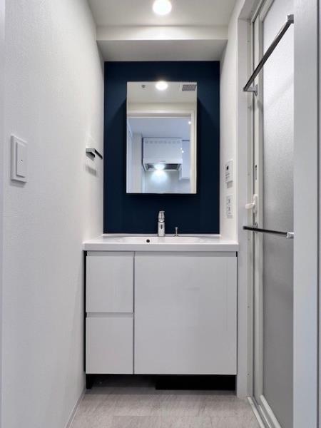 Ｂｒｉｌｌｉａ　ｉｓｔ　大井町5階 洗面