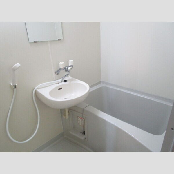 ドミールシャルマン306号室 浴室内洗面ボウル