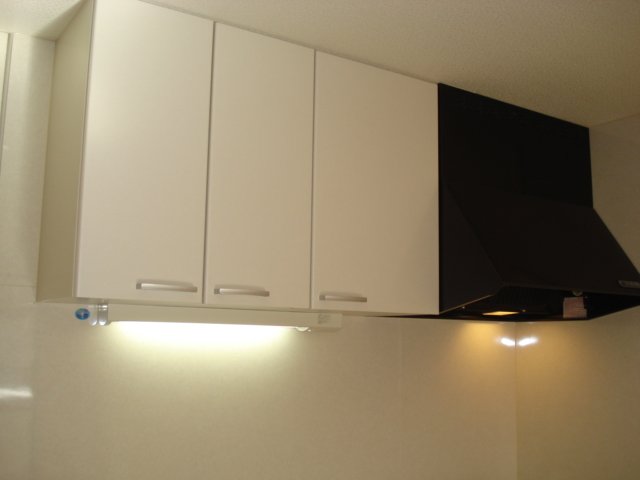 グリーンプレイス205号室 吊戸棚