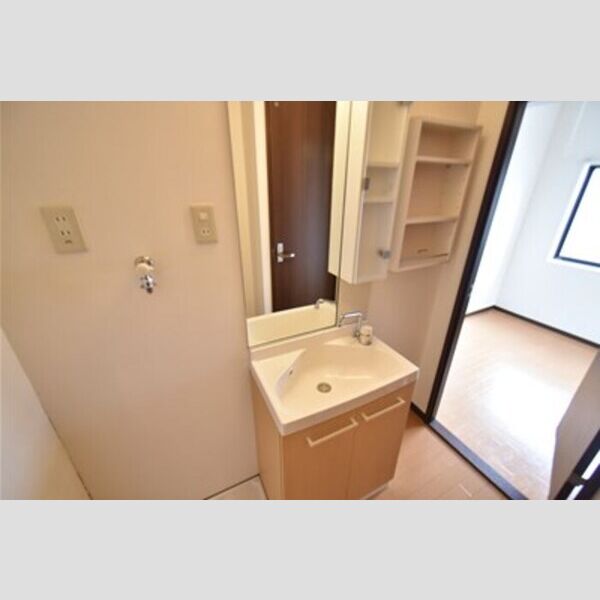 フェニックス厚木105号室 洗面台