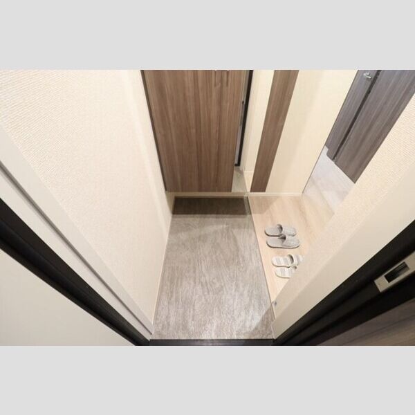 STELLA新松戸205号室 玄関