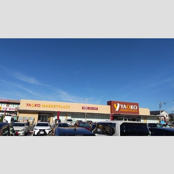 D-セアリス椿森 ヤオコー作草部店(786m)