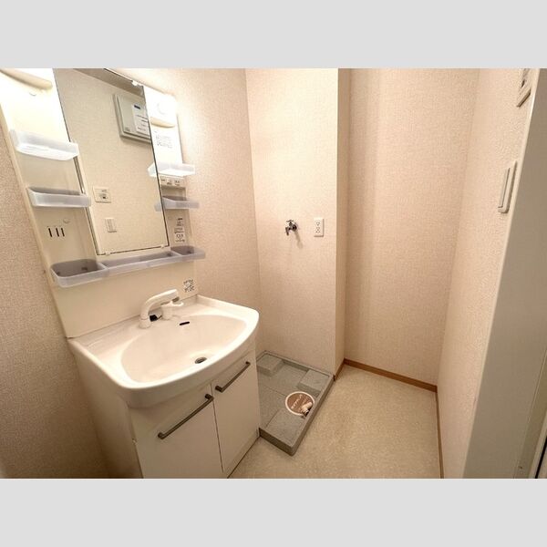 メゾン義101号室 洗面所