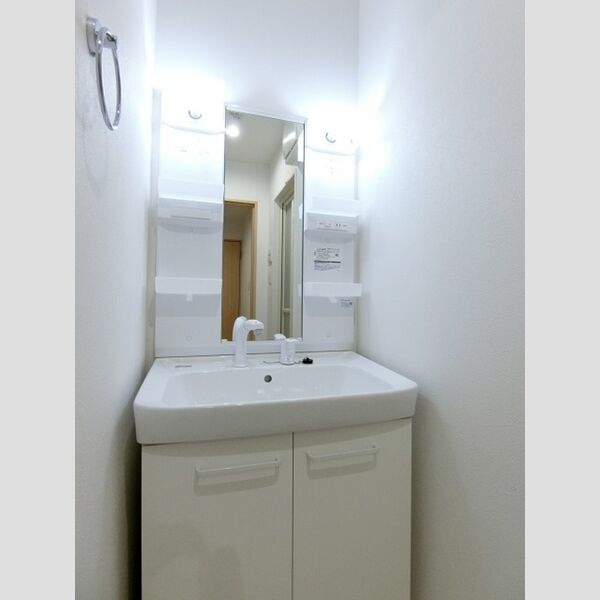 TERRACE　WELLNESS205号室 洗髪洗面化粧台