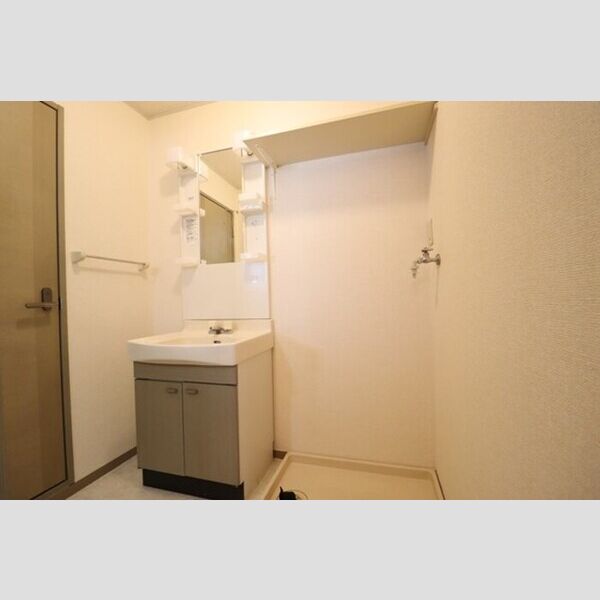 メゾン・ド・ラフィーネ　A202号室 洗面化粧台