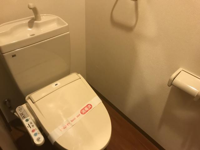 Ｃｈａｔｅａｕ　ｌｉｅｎ(シャトーリアン)102号室 シャワー付きトイレ