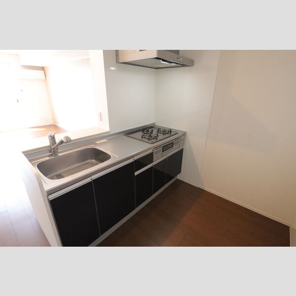 イルソーレ吉川美南　ヴェルデ301号室 対面式システムキッチン