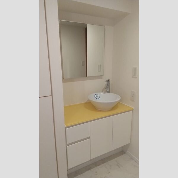 カスタリア大塚Ⅱ0501号室 洗面台