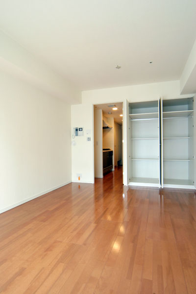 レジディア水道橋5階 リビング