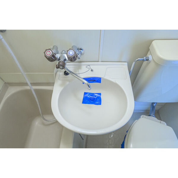 パレス海老名0201号室 洗面