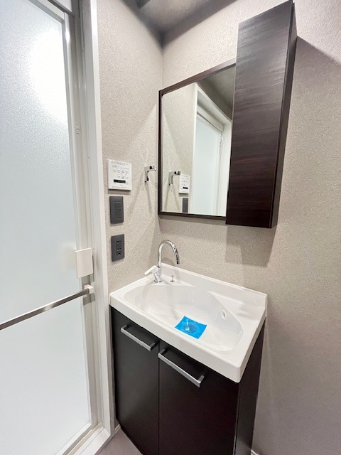 レジディア浅草吾妻橋7階 洗面