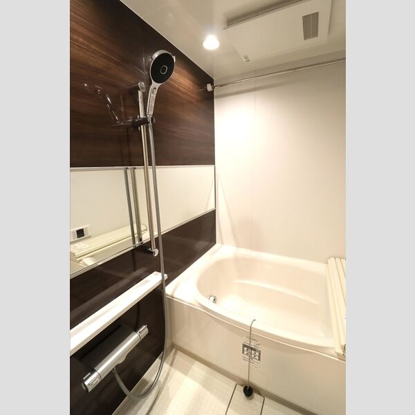 グラナーデ貫井303号室 バスルーム